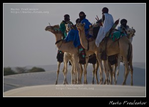 Tuaregs overlooking the desert from their camels Tuaregs overlooking the desert from their camels
