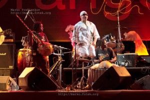 Salif Keita (Mali) performing at Festival sur le Niger in Segou, Mali on Saturday, February 6 2010. Photo by Marko Preslenkov.